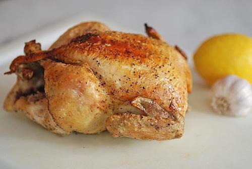ما لطهي الطعام في مولتيكوك من الدجاج بسرعة ولذيذة؟