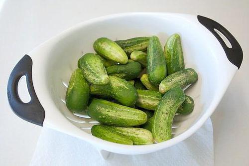 مخلل وصفة gherkins