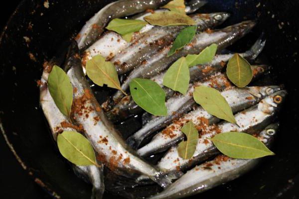 خزانة من وصفة capelin مع الصورة خطوة بخطوة