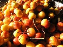 مربى من التفاح الجنة: وصفة لبليت عطرة لفصل الشتاء