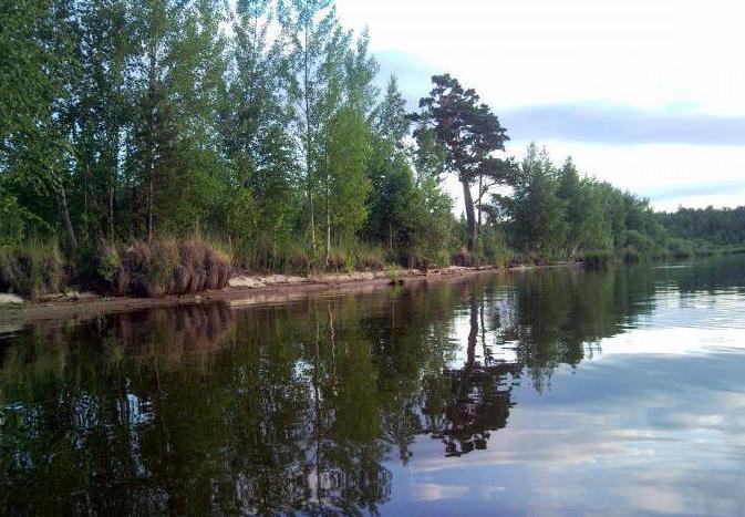 بحيرة Shitovskoe سفيردلوفسك المنطقة 