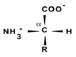 لتفاعل xantoprotein 